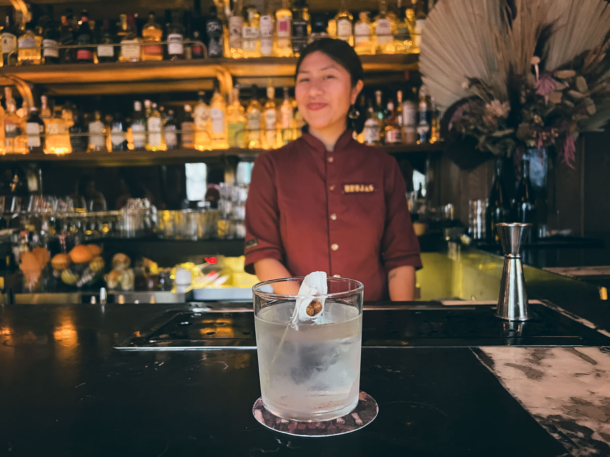 Bar Guide Mexico